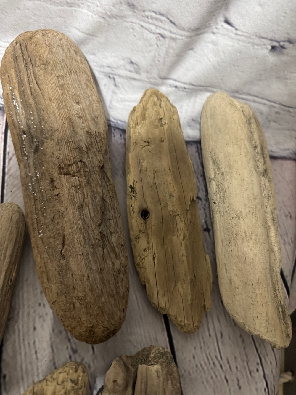 20 pieces PNW Pacific Ocean Grays Harbor Natural Driftwood Home Accent Bundle - Picture 17 of 17